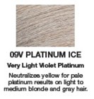 Redken Shades EQ Color 09V Platinum Ice  2oz