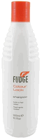 Fudge Colour Lock Shampoo