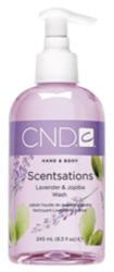 Creative Scentsations  Lavender  Jojoba