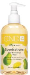 Creative Scentsations  Pear  Dandelion