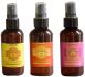Earthly Body Marrakesh X LeaveIn Treatment  Detangler 