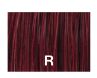 Redken Double Fusion Reds  R  2oz