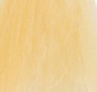 Goldwell Topchic Hair Color Coloration 2  1 Blonding Cream  21 oz