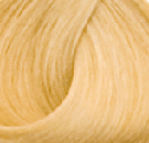 Goldwell Topchic Color 10GB Sahara Pastel Beige Blonde  21 oz