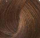 Goldwell Topchic Hair Color  6G Tobacco  21 oz