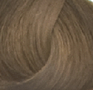 Goldwell Topchic Hair Color  6N Dark Blonde  21 oz