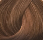 Goldwell Topchic Hair Color  7BN Vesuvian  21 oz