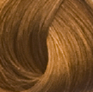 Goldwell Topchic Hair Color  7G Hazel  21 oz