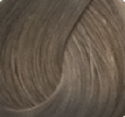 Goldwell Topchic Hair Color  7SB Silver Beige  21 oz
