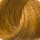 Goldwell Topchic Hair Color  8B Sea Sand  21 oz