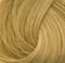 Goldwell Topchic Hair Color  8N Light Blonde  21 oz