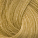Goldwell Topchic Hair Color  8NN Light Blonde Extra  21 oz