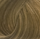 Goldwell Topchic Hair Color  8SB Silver Blonde  21 oz