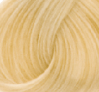 Goldwell Topchic Hair Color  9NA Light Natural Ash Blonde  21 oz