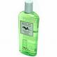 Back to Basics Green Tea Shampoo Former 12 oz