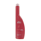 Back to Basics Moisture Pomegranate Peach Conditioner