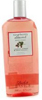 Back to Basics Raspberry Almond Shampoo Former Packaging  12oz