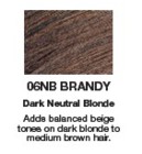 Redken Shades EQ Color 06NB Brandy  2oz