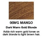 Redken Shades EQ Color 06WG Mango  2oz