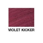 Redken Shades EQ Color Violet Kicker  2oz