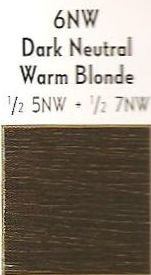 Scruples TrueIntegrity Color 6NW  Dark Neutral Warm Brown  205oz