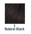 Socolor Color 2n  Natural Black  3oz