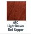 Socolor Color 6RC  Light Brown Red Copper 
