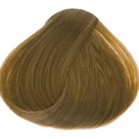 Goldwell Topchic Hair Color 8A Light Ash Blonde  21oz
